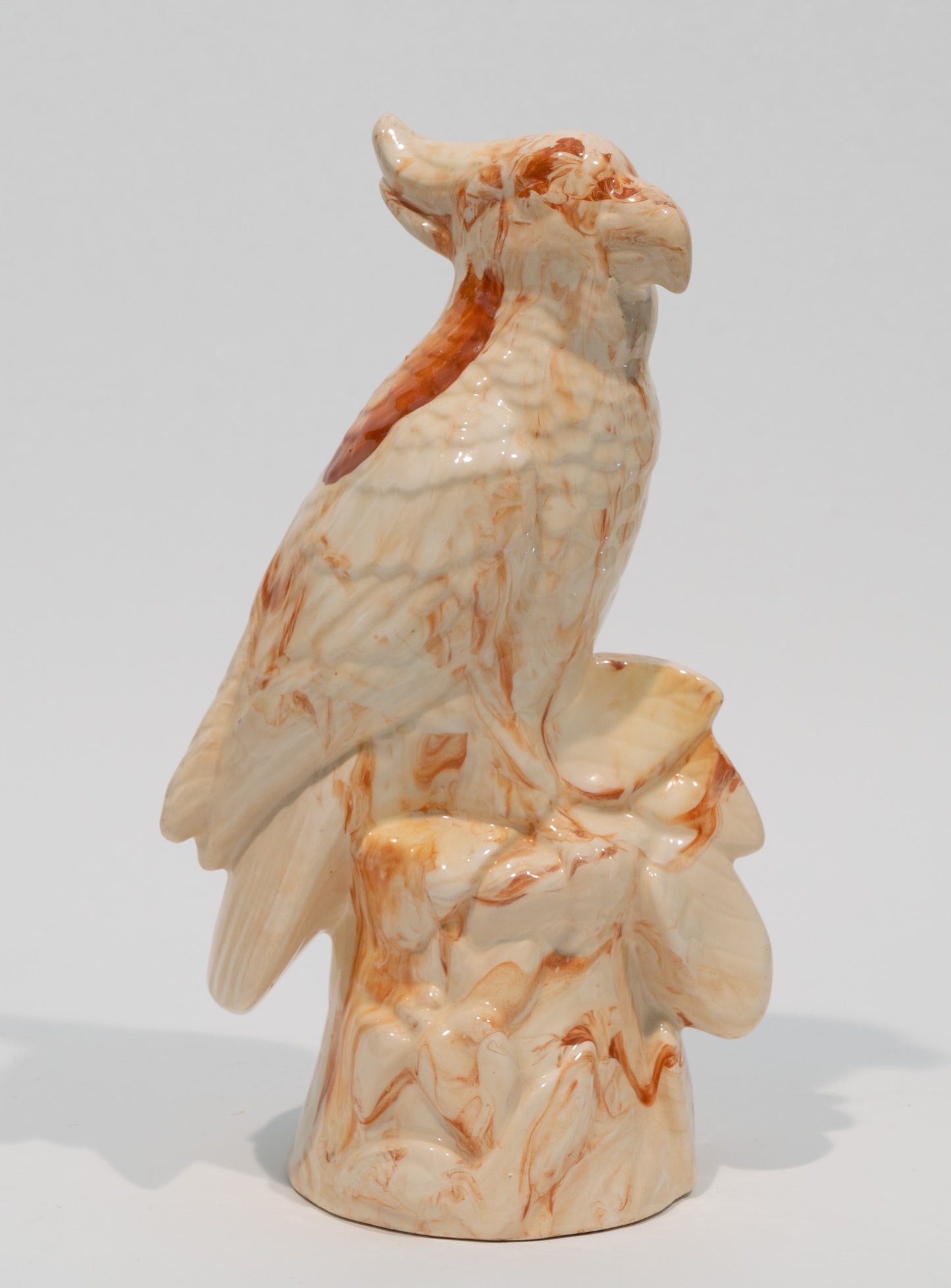 Porcelain Parrot Bust