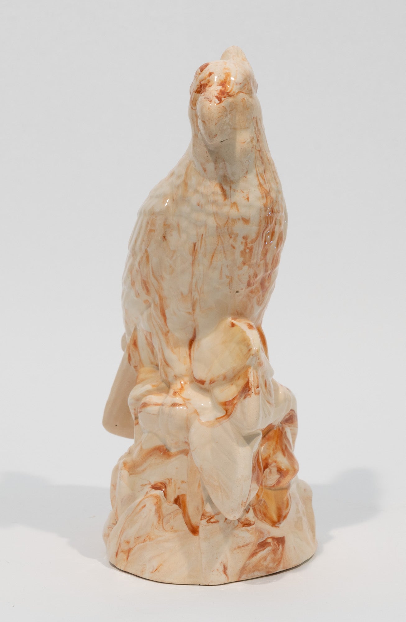 Porcelain Parrot Bust