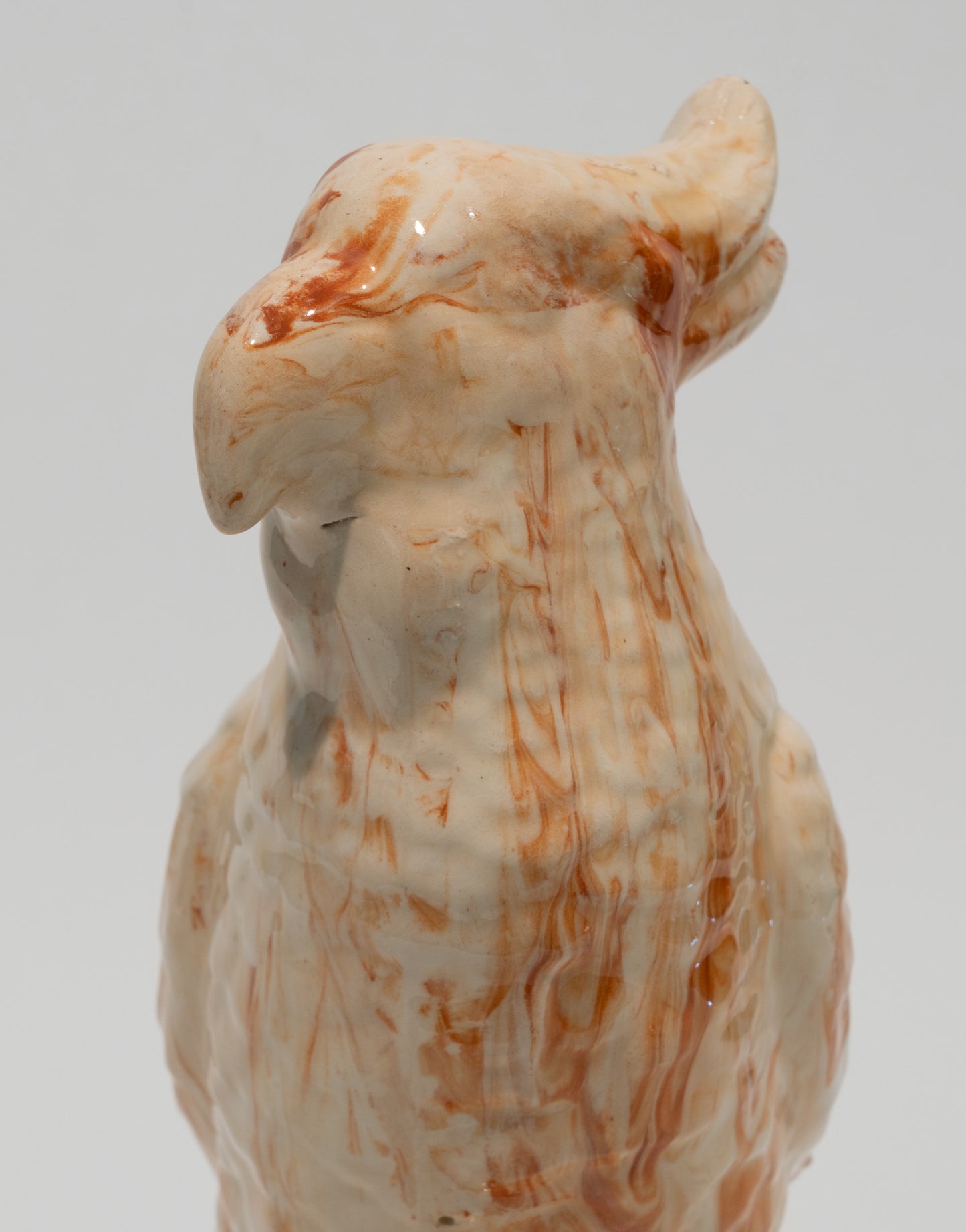 Porcelain Parrot Bust